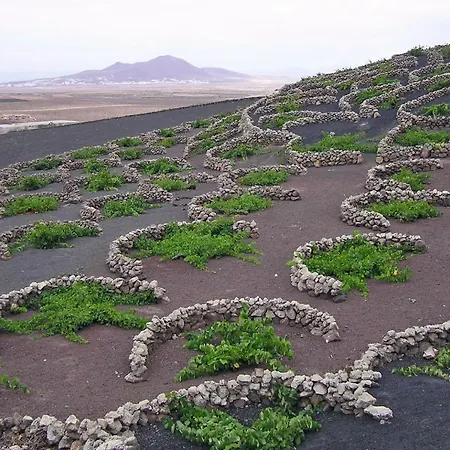 Casa El Gallo Landhaus Teguise (Lanzarote)